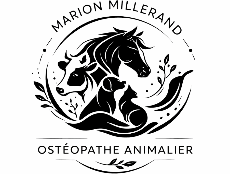 Marion Millerand - Ostéopathe Animalier